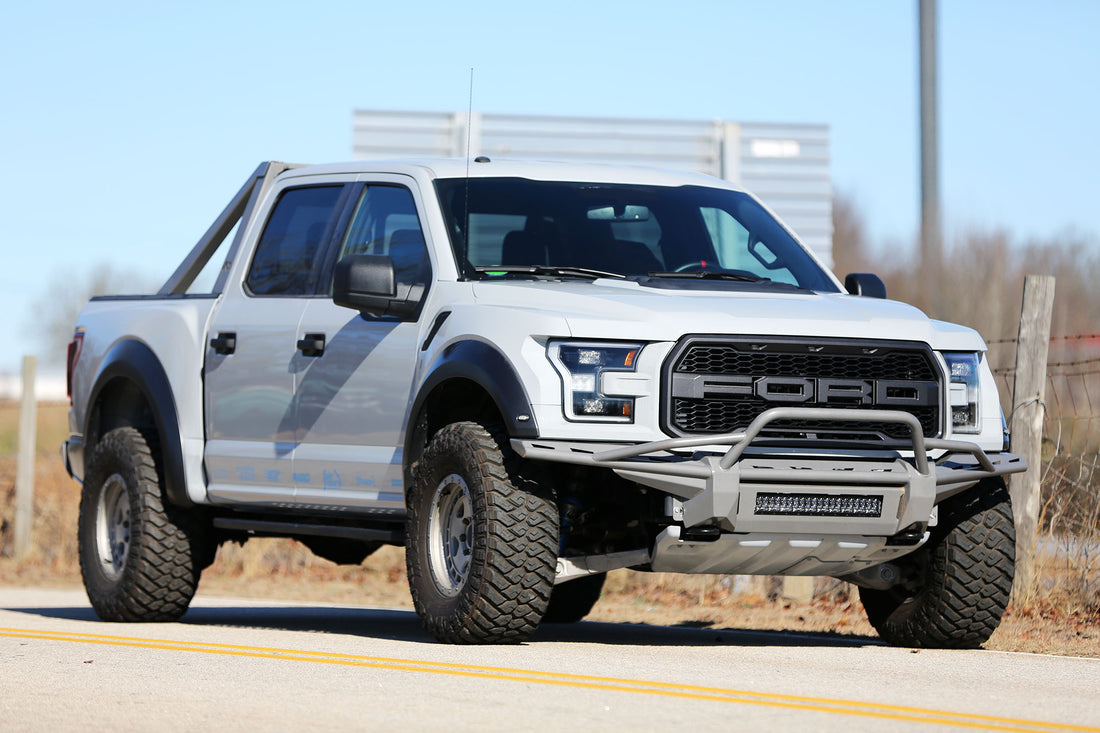 Raptor in Spartanburg