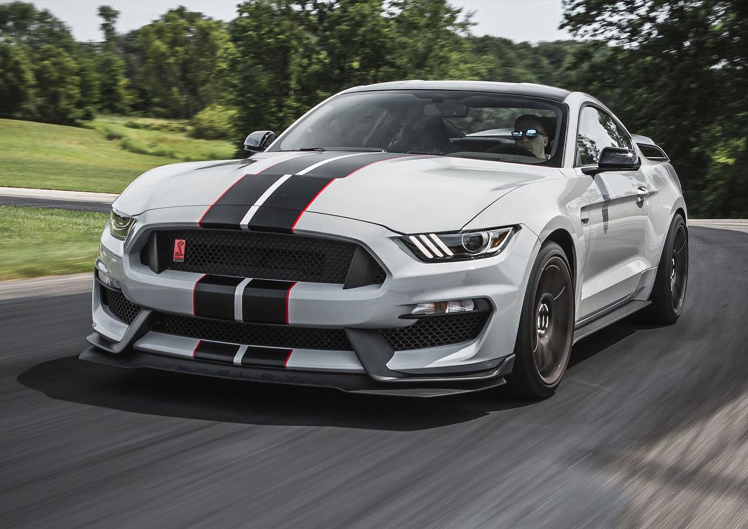 Ford Mustang GT350 ('15-'17)