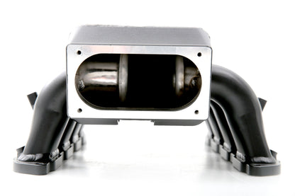 4.6L 3V Ford Mustang GT Intake Manifold